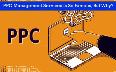 PPC Management Services Is So Famous, But Why?
